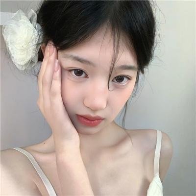 小熊的夏天